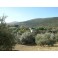 Land for sale in Villanueva de Tapia