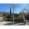 STUNNING ESTATE “LA CAMORRA” IN RUTE WITH 19.25 HECTARES OF OLIVE TREES