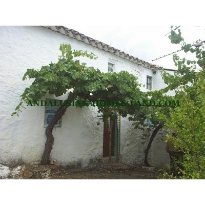 ORIGINAL AND RUSTIC  CONTRY HOUSE WITH MANY OPTIONS IN IZNAJAR